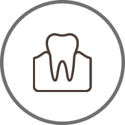 Animated tooth within the gums icon